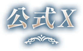 公式X