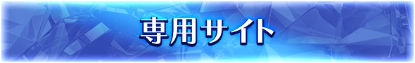 専用サイト